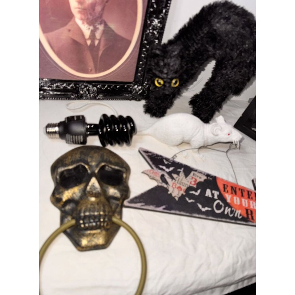 halloween decor lot perfect party pack blue light skeleton light up door knocker - Picture 3 of 15